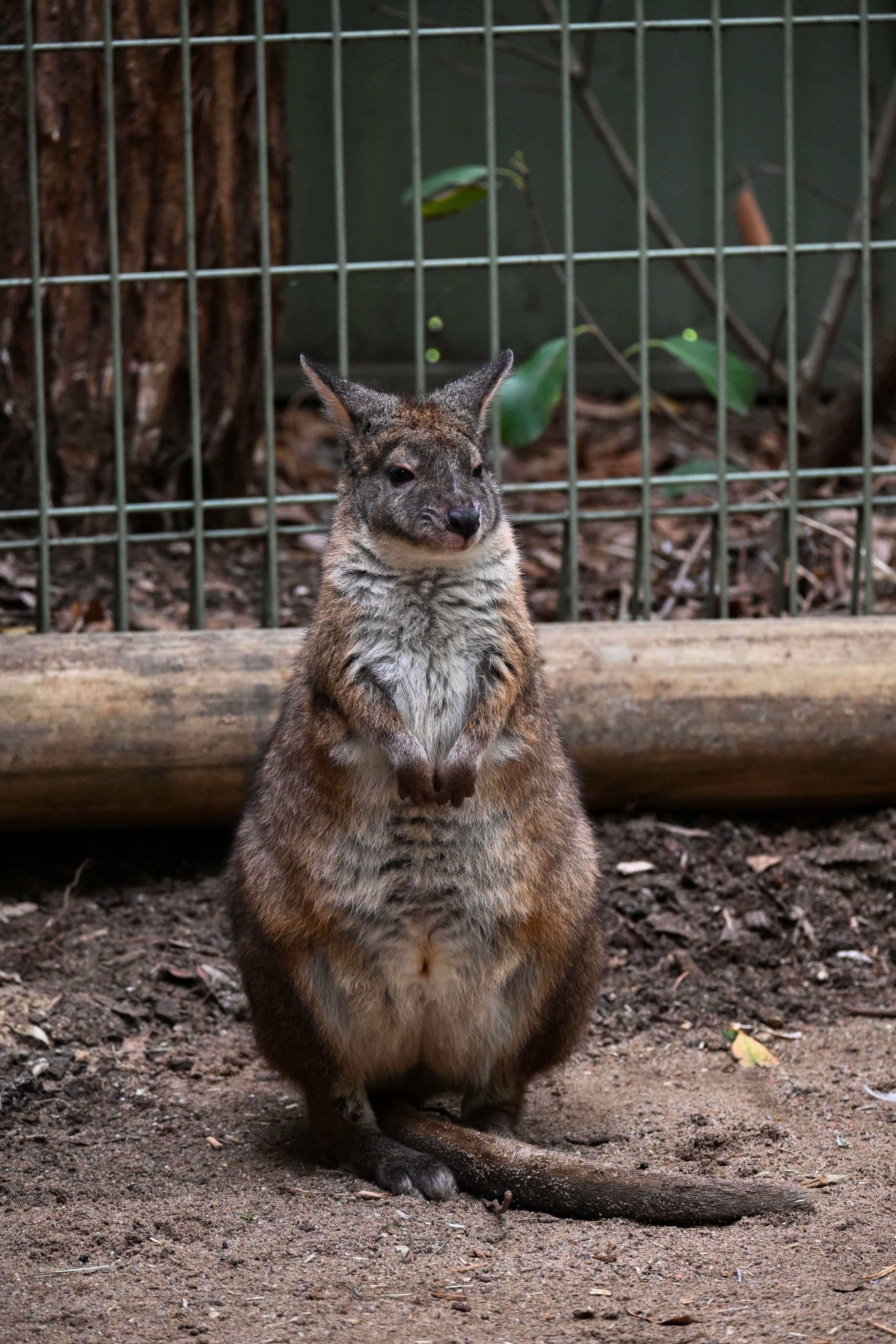 Independent Photography Image 4