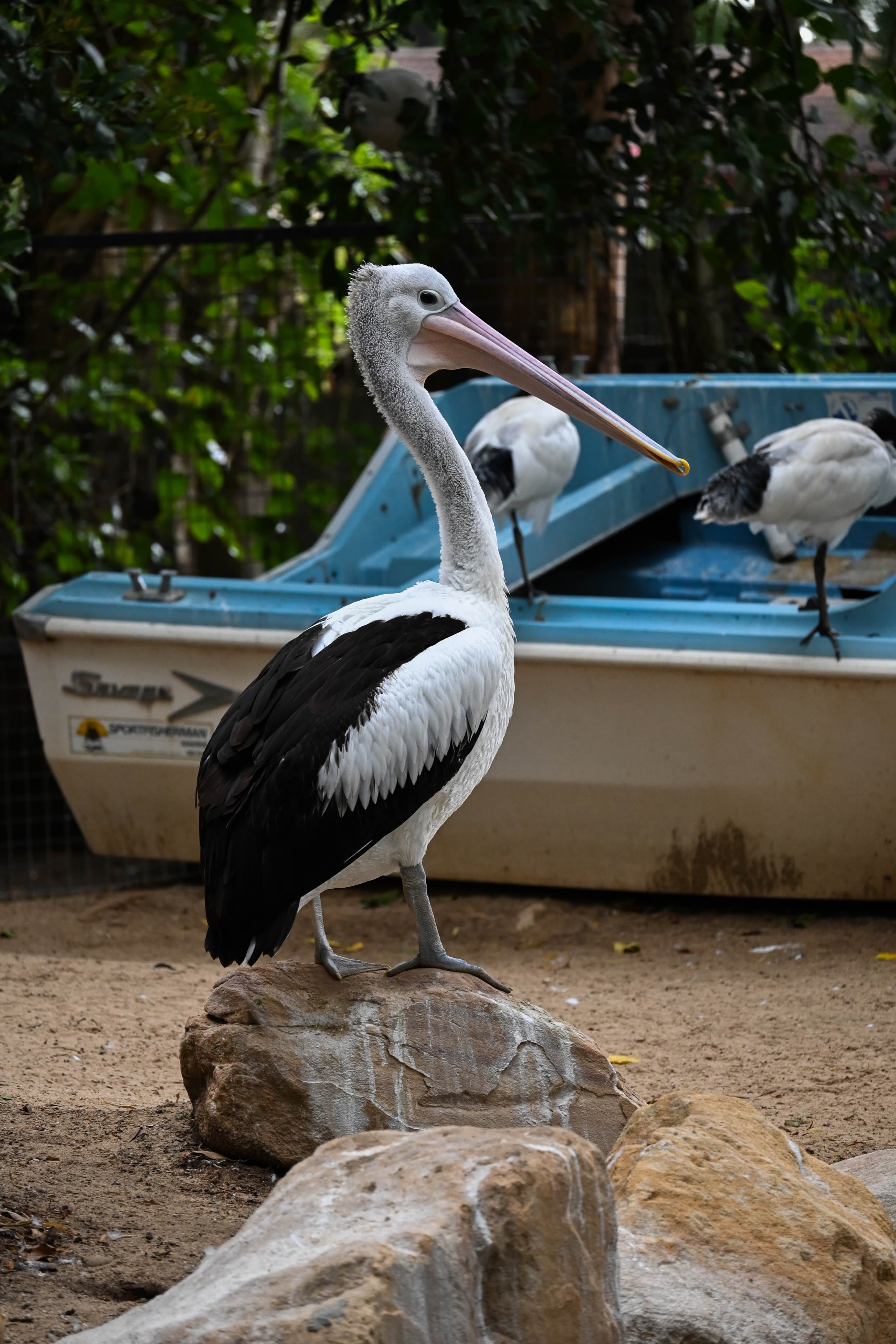 Independent Photography Image 5